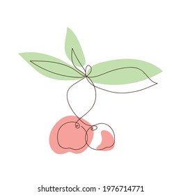 Simple sketch of cherries with leaves, colored abstract spots, doodle style, hand drawn. Cherry line art icon, outline style, sweet cherry silhouette, symbol, sign. Illustration one line drawing style