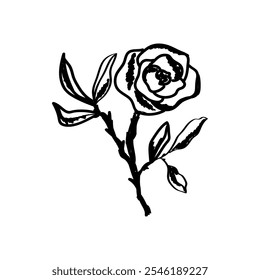 Boceto simple de abstracción floral. Dibujado con un pincel negro sobre un fondo blanco. Garabato de flores de rosa. Elemento de diseño para tarjeta de felicitación, invitación de boda. Ilustración vectorial aislada