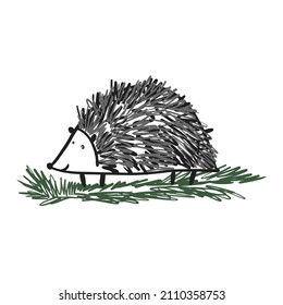 Simple sketch hand drawn black and gray hedgehog
