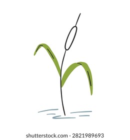 A simple sketch style illustration of a single cattail reed plant growing in a marshy environment