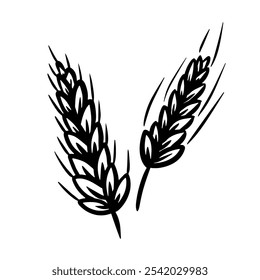 Simple sketch two wheat sheaves gracefully sway, wheat grain ear, nature bread symbolizing harvest 