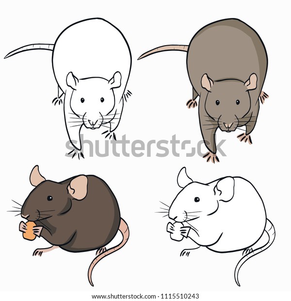 Simple Sketches Rats On White Background Stock Vector (Royalty Free ...