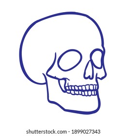 Simple Skull vector design for print tattoo and digital needs