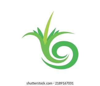 Simple Small Plant with Growing Phase Illustration