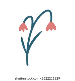 Simple snowdrop flower isolated on white background