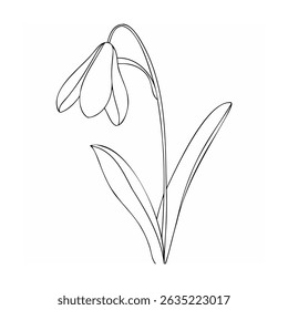 Simple snowdrop flower outline in black and white for spring or botanical designs