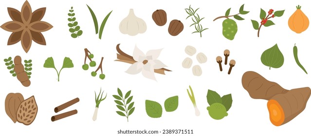 Simple Spice and Herbs Asian 2 