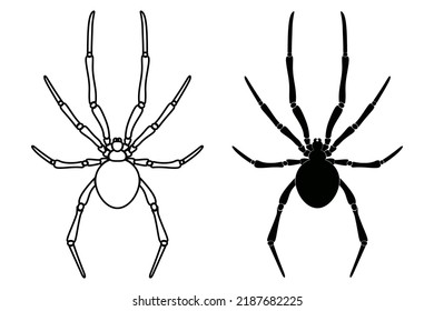 simple spider with black color. spider black window silhouette