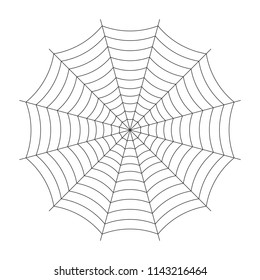 Simple spider cobweb illustration isolated on background