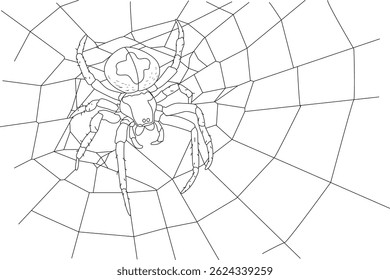 Simple Spider Web Line Illustration, Black and white line art illustration of a spider in its web. Simple drawing suitable for coloring books, designs, or educational content.