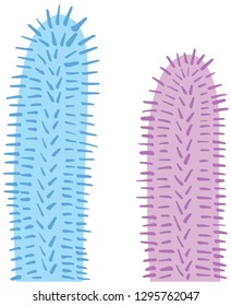 Simple Spikey Cactus Succulent Cartoon Illustration Vector 