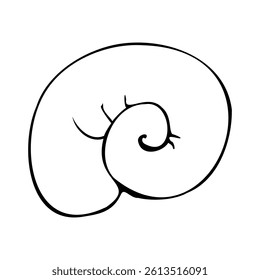 Simple spiral seashells in a simple style. Graphic line art hand drawn on the theme of sea and fishing in black and white ink. Separate element isolated from the background EPS vector