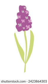 Simple spring flower isolated on a white background.