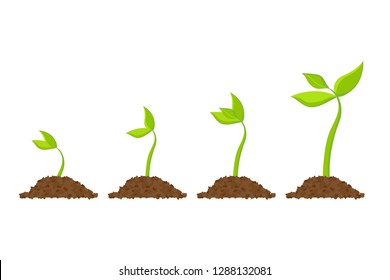 Simple sprouting seed drawing. Vector illustration.