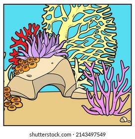 Simple square background of the seabed with stones, corals and algae color variation for coloring on a white 