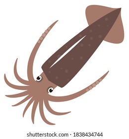 Simple squid illustration on white background