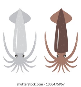 Simple squid illustration on white background