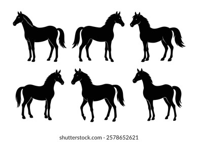  A simple standing horse silhouette with minimal details, vector art  Black silhouettes, horse outlines, six horses, 