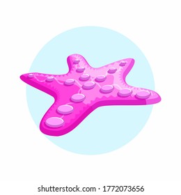 Simple Starfish Vector Illustration icon 