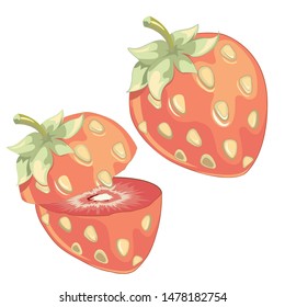 Simple strawberry -  vector illustration 