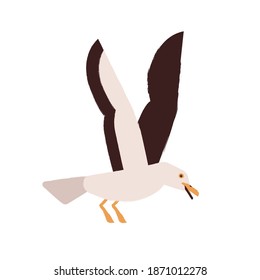 Simple style colorful portrait of flying seagull isolated on white background. Beautiful marine nordic bird. Flat vector cartoon illustration of adorable arctic seabird