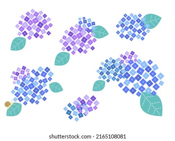 Conjunto de ilustraciones de hidrangea simple y elegante
