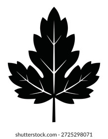 Uma silhueta preta simples e estilizada de uma única folha com veias proeminentes, colocada sobre um fundo branco.