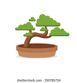 simple stylized bonsai tree isolated on white background
