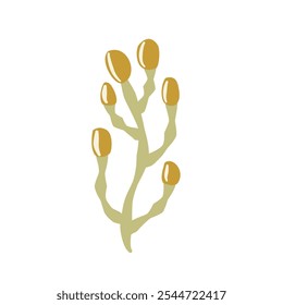 Simple, stylized branch illustration with yellow seed pods against a white background. Vector hand drawn illustration