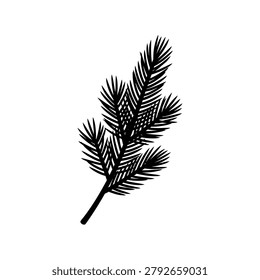 A simple, stylized drawing of a pine tree branch with needles, isolated on a white background.