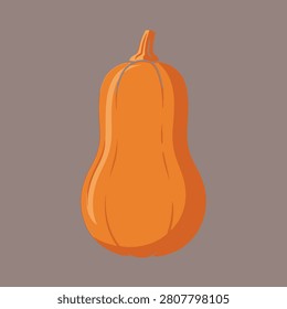 A simple, stylized illustration of a butternut squash on a muted grey background. Perfect for autumn or healthy eating themes.