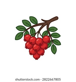 A simple, stylized illustration of a small bunch of bright red rowan berries hanging from a woody stem with green leaves.