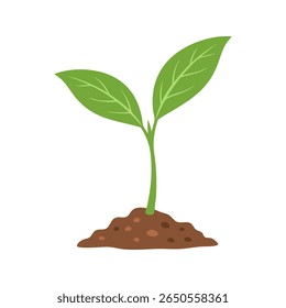 A simple, stylized illustration of a young plant sprout emerging from a mound of soil. The plant has a green stem and two vibrant green leaves with visible veins, set against a clean white background.