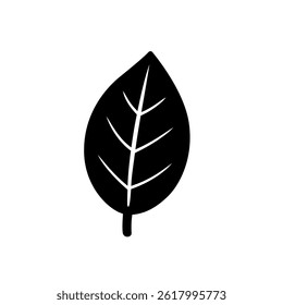 Simple stylized leaf silhouette featuring central vein and clean rounded shape.