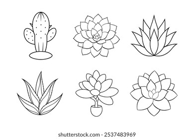 Simple Succulents Line Art Bundle – Aloe, Agave, Echeveria, Cactus Pad, Sedum, and Jade Plant