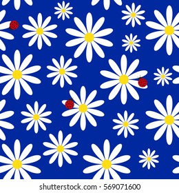 Simple summer seamless background with ladybirds and daisies