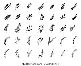 Simple summer, spring branches with leaves. Botanical elements. Floral branch set. Minimalist black silhouette. Flower logo design element. Elegant twig decoration set. Plant icons. Hand drawn black l