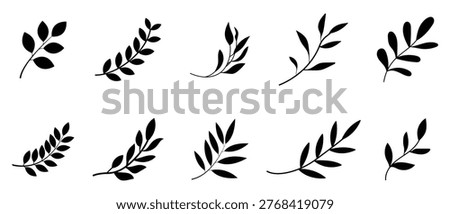 Simple summer, spring branches with leaves. Decorative botanical elements including branches with leaves. Elegant twig decoration set. Vector illustration. 
