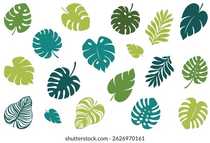 Simple summer tropical monstera leaves. Botanical elements. Floral set. Minimalist silhouette. Logo design element. Collection of tropical leaves in various shapes. Monstera, palm. Exotic jungle palm 