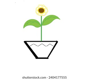 Diseño de ilustración simple de girasol en una olla