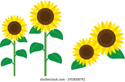 Simple sunflower illustration (with and without stems)