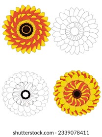 simple sunflower mandala with outlines