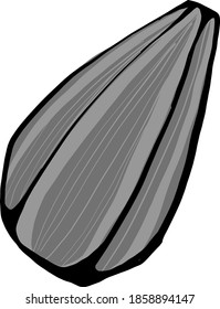 Simple sunflower seed, illustration, vector on white background