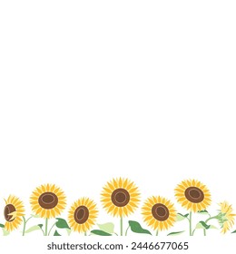 Simple Sunflowers Background, Summer Wallpaper, Frame, Square Size