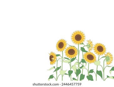 Einfache Sonnenblumen Hintergründe, Horizontale Rahmen, Sommer Bildschirmhintergrund