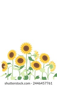 Simple Sunflowers Backgrounds, Vertical Frames, Summer Wallpaper