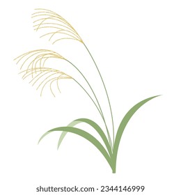 
Simple Susuki Grass, Vector Material