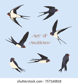 Simple Swallows on a light blue background. Five flying and two sitting swallows in cartoon style. Flying birds in different views. Red plumage around the beak, Dark blue wings. Design elements.