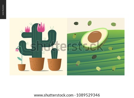 Simple things - color - flat cartoon vector illustration of blooming cacti and pink flower growing in flowerpots, half of avocado, black and green olives on leaves - colour composition
