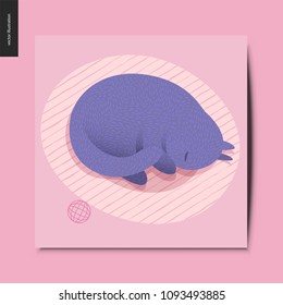 Simple things - a purple cat curling up in the cats bed on the floor, and a ball next to it, postcard, vector illustration